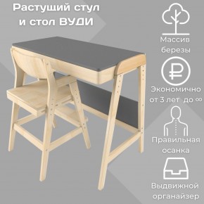 Комплект растущий стол и стул 38 попугаев «Вуди» (Серый, Без покрытия) в Заречном - zarechnyy.mebel-74.com | фото