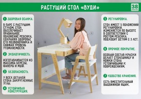 Комплект растущий стол и стул 38 попугаев «Вуди» (Серый, Без покрытия) в Заречном - zarechnyy.mebel-74.com | фото
