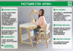 Комплект растущий стол и стул с чехлом 38 попугаев «Вуди» (Белый, Береза, Ромбы) в Заречном - zarechnyy.mebel-74.com | фото
