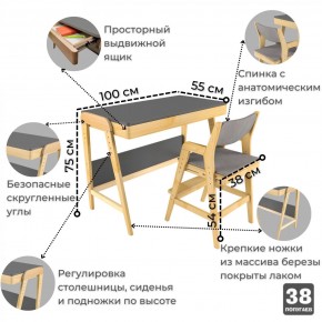 Комплект растущий стол и стул с чехлом 38 попугаев «Вуди» (Серый, Береза, Серый) в Заречном - zarechnyy.mebel-74.com | фото