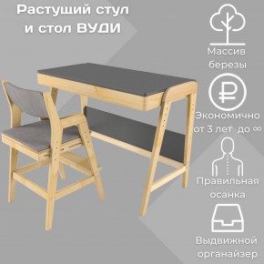 Комплект растущий стол и стул с чехлом 38 попугаев «Вуди» (Серый, Без покрытия, Серый) в Заречном - zarechnyy.mebel-74.com | фото