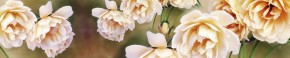 Кухонный фартук Цветы 066 МДФ матовый (3000) Flowers в Заречном - zarechnyy.mebel-74.com | фото
