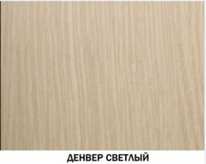 Шкаф для одежды №609 "Инна" Денвер светлый (*без полок) в Заречном - zarechnyy.mebel-74.com | фото