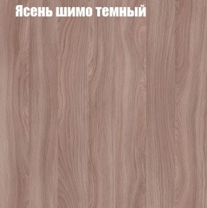 Шкаф-купе «ТАНДЕМ» 2-х дверный в алюминиевом профиле (Дверь ЛДСП+ЛДСП) 1200/h2200 в Заречном - zarechnyy.mebel-74.com | фото