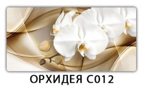 Стол раздвижной Трилогия с фотопечатью Цветы R044 в Заречном - zarechnyy.mebel-74.com | фото